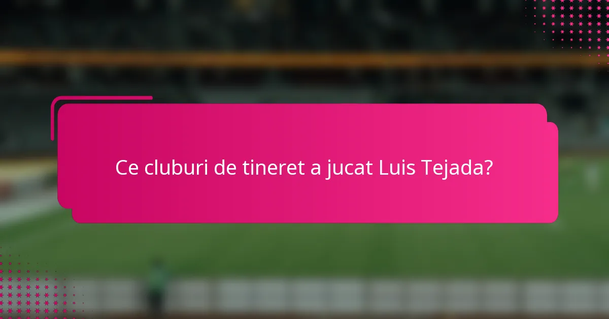 Ce cluburi de tineret a jucat Luis Tejada?